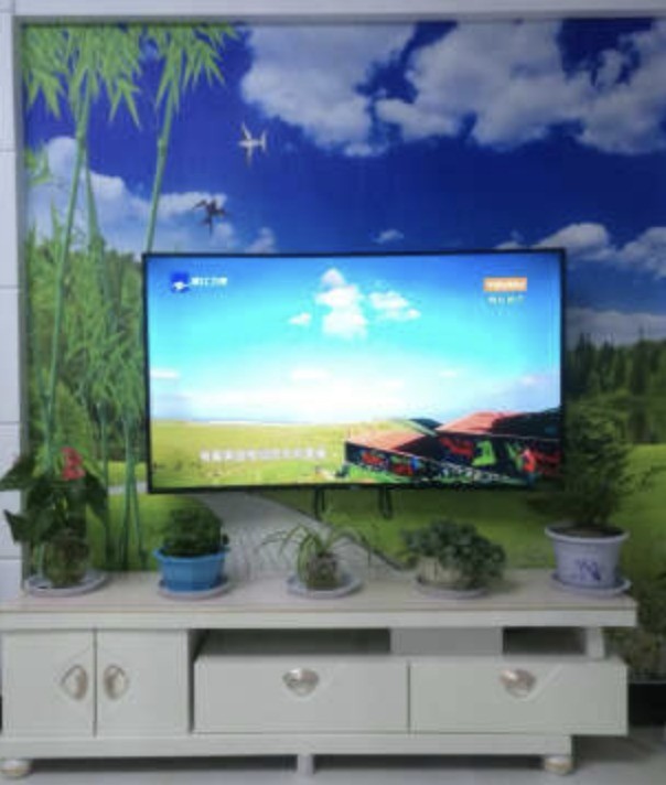 液晶电视机米乐 M6买什么牌子好(图2)