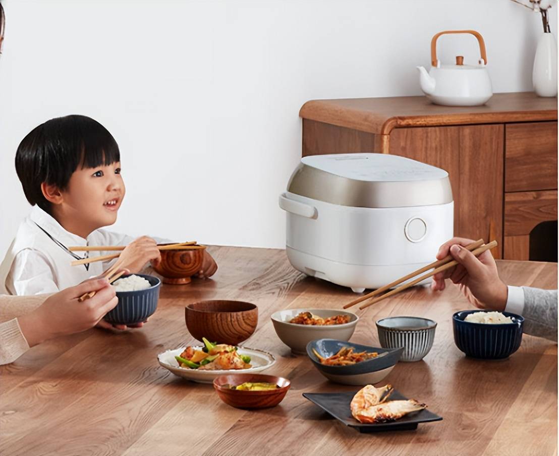 电饭煲排米乐 M6名前十名品牌：2024甄选十款好用且高效的机型(图15)