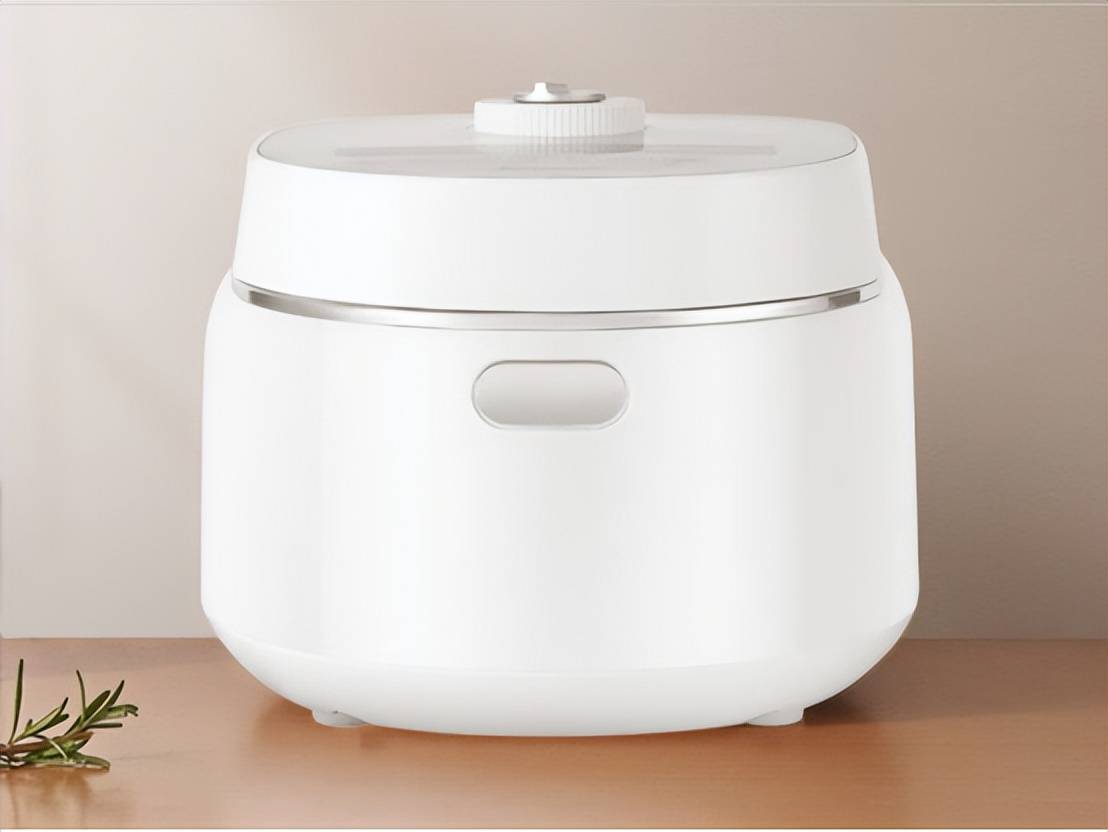 电饭煲十大品牌排名：top10口碑炸裂的高质量品牌米乐M6 M6米乐(图13)