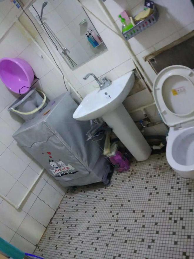 米乐M6 M6米乐46㎡北京老屋养了2只猫100盆草还能放下2m“岛台”！(图22)